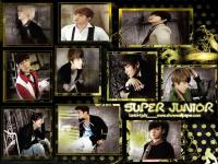 super junior_golden