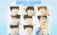 Super Junior :: ANAN Magazine