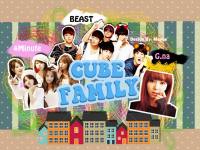 Cube Family