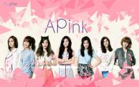 APink - UNE ANNEE