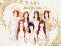 T-ara JEWELRY BOX(diamond ed.)