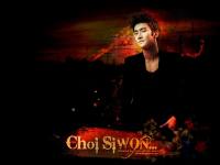 Choi Siwon SJ::)