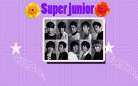 Super Junior