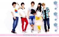 SHINEE & f(x)