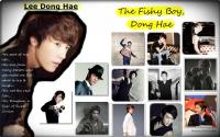 The Fishy Boy: Dong Hae