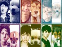 EXO K :: Puppies Looks Alike