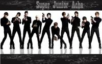 Super Junior Acha