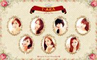 T-ara  JEWELRY BOX