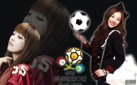 F(x) Support Euro 2012