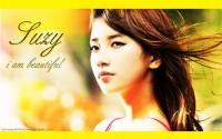 Suzy : Caribbean Bay Ad 2