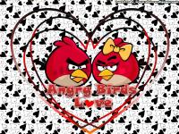 ::love_Birds::