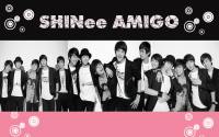 SHINee AMIGO