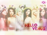 Hello Venus ::: Ver.2