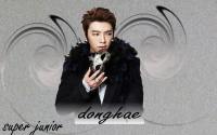 super junior opera donghae