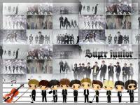 ::super_junior::