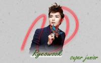 super junior opera Ryeowook