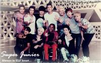 Super Junior: Always in ELF Heart