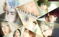 Super Junior ::Sexy, Free & Single:: Ver.1