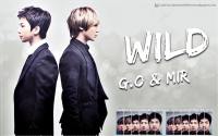 MBLAQ : G.O & MIR WILD