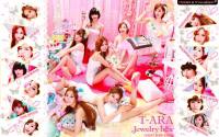 T-ARA Jewelry Box