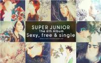 Super Junior | Sexy, free & single