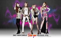 2NE1 :: I LOVE YOU