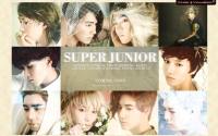 Super Junior ::Sexy, Free & Single:: Ver.3