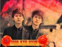 ::Cho_kyu_hyun::