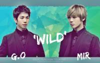 MBLAQ : G.O & MIR WILD 2