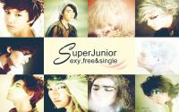 Super Junior Sexy,Free Single