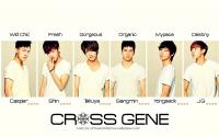 Cross Gene Profile