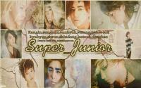 ::super_junior::