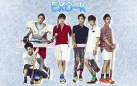 Exok Hockey