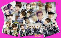 exo show champion