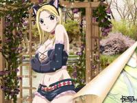 Lucy Heartfillia:Kitty Cat