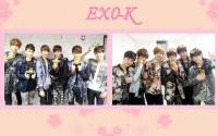 Exo-K