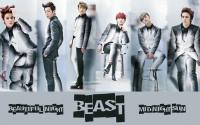 Beast - Beautiful night - grey