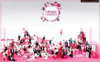 SM Town Smart Exibition