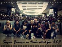 Super Junior is Dedicated for ELF