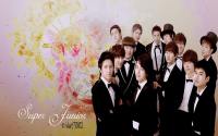 SUPER JUNIOR Vintage