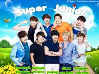 ::super_junior::