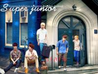 Super_junior