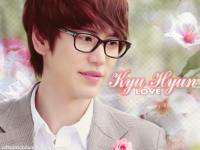 LOVE_kyu_hyun