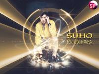 Suho EXO K :: Golden Man