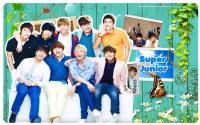 super_junior_Natural_#8