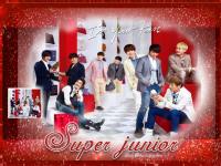 super_junior_shoping^_^