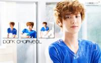 Chanyeol Faceshop