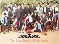 To the beautiful you