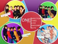 One Direction (1D)