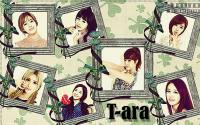 T-ara